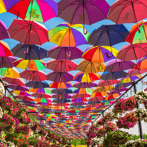 Dubai Miracle Garden Gardens & parks