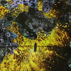 TeamLab Phenomena + Yas Waterworld - Combo Recently Added Experiences