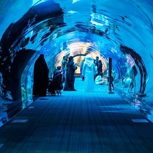 Dubai Aquarium & Underwater Zoo: All-Access Pass at Dubai Aquarium & Underwater Zoo