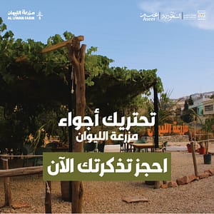 Liwan Farm in Abha Arabic Events