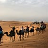 Overnight Camel Trekking in Merzouga Desert/ Erg Chebbi at 4252+28W, Marrakesh, Morocco - Image 2