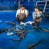 Dubai Aquarium & Underwater Zoo - Shark Trainer Encounter - Experiences - Image 2