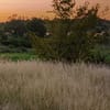 Jeep safari adventure at Nabq National Park with  camel ride and dinner - Sightseeing and Tours - Image 3