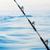 Private fishing boat tour - Sightseeing and Tours - Image 3