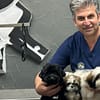 Full Cat And Dog Grooming In Jlt Dubai - Image 3