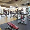 Gym Membership Abu Dhabi - Image 5
