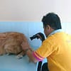 Full Grooming For A Cat Or Dog At Paws & Whiskers Pets Nursery Dubai