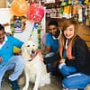Pet Boarding Dubai