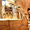 Dive Into Fun: Zoo Entrance With Activity And Aed 50/100/200 Voucher Abu Dhabi - Image 3