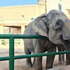 Dive Into Fun: Zoo Entrance With Activity And Aed 50/100/200 Voucher Abu Dhabi - Image 4