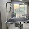Extensive Pet Grooming Service Dubai - Image 3