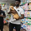 Pet Day Care At Six Pawz Pet Grooming Dubai - Image 3