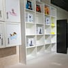 Pet Day Care At Six Pawz Pet Grooming Dubai - Image 5