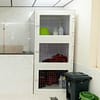 Pet Day Care At Six Pawz Pet Grooming Dubai - Image 6