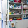 Pet Day Care At Six Pawz Pet Grooming Dubai - Image 9