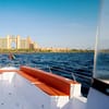Reel In The Fun: Private Fishing Trip With Bbq On A 35ft Or 40ft Boat! Dubai - Image 15