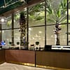 Seafood Night With Choice Of Beverages At 5* Sofitel Jbr Dubai - Image 14