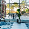 Seafood Night With Choice Of Beverages At 5* Sofitel Jbr Dubai - Image 5