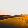 Tour - Guided Dubai - Image 10