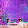 Up To 8% Off On At Peace Land Travel And Tourism Dubai - Image 10