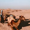 Agafay Desert & Sunset Camel Ride From Marrakech at Hôtel Restaurant Café de France, Marrakesh, Morocco - Image 2