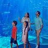Dubai Atlantis: Aquaventure Waterpark + Shark Safari or Snorkel Experience at Aquaventure Waterpark, Dubai, United Arab Emirates - Image 2