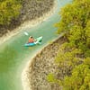 Guided Kayak Tour in the Reem Central Park Mangroves - Water Sports - Image 2