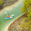 Guided Kayak Tour in the Reem Central Park Mangroves - Water Sports - Image 3