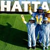 Hatta Honeybee Garden Discovery Tour - Recently Added Experiences - Image 3
