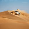 Liwa Adventure: A Desert Safari Delight with Authentic Local Lunch - Desert safaris - Image 2