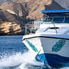 Private group Boating Experience with Dolphins Watching & Snorkeling - Sightseeing and Tours - Image 2