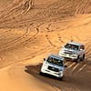 Desert Safari With Live Shows Dubai - Image 3