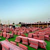 Desert Safari With Live Shows Dubai - Image 6