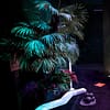 Glow Golf Experience At Mystic Golf By Tr88house @Bluewaters Island Dubai - Image 2