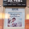 Treat Your Furry Friend To A Spa Day At Six Pawz Pet Grooming! Dubai - Image 13