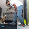 Treat Your Furry Friend To A Spa Day At Six Pawz Pet Grooming! Dubai - Image 3