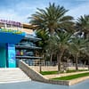 Al Ain Adventure - Recently Added Experiences - Image 3