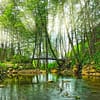 Daily Sapanca and Masukiye Tour: Full-Day Trip From Istanbul - Sightseeing and Tours - Image 2