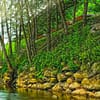 Daily Sapanca and Masukiye Tour: Full-Day Trip From Istanbul - Sightseeing and Tours - Image 3