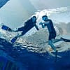 Deep Dive Dubai Surface Snorkeling Experience - Water Sports - Image 2