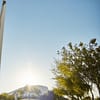 Doha Sports Tour - Sightseeing and Tours - Image 2
