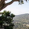Guided Gaithan Hike - Sightseeing and Tours - Image 3