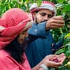 Hike with a local coffee farmer - Recently Added Experiences - Image 2