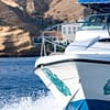 Private group Boating Experience with Dolphins Watching & Snorkeling - Sightseeing and Tours - Image 3