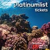 Snorkeling Daily Trips in Jeddah - Attractions Special Offers - Image 2