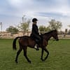 Sunset Horse Riding at Al Marmoom Oasis with a 6-Course Bedouin Dinner - Outdoor Attractions - Image 2