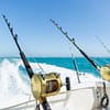 Trolling in Ocean for Big Fish - Top-Rated Attractions - Image 2