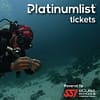 Try Scuba Diving in Jeddah - Water Sports - Image 2