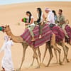 Choice Of Desert Safari Package Dubai - Image 5