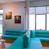 Dog / Cat Grooming From Best Veterinary Clinic In The Uae Award Winner Dubai - Image 2